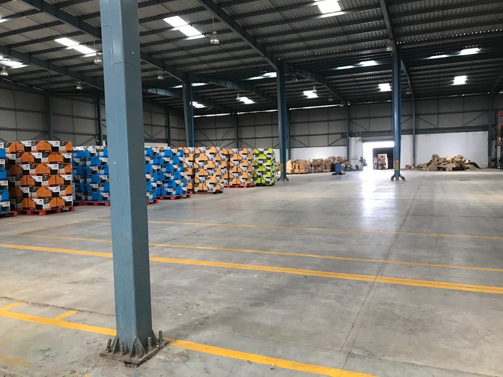 WhatsApp Image 2025 07 30 At 3.58.00 PM 2